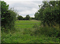 Entrance to field near to Buckminster Lodge