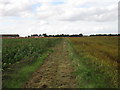 Bridleway to Horncastle Lane