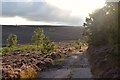 NJ7203 : Moorland Track on Meikle Tap, Aberdeenshire by Andrew Tryon