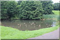 Pond, Sir Harold Finch Memorial Park, Pontllanfraith