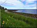 Coast at Burneside Bridge