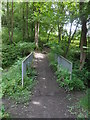 Footbridge over un-named stream, Chopwell Wood