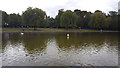 Boating Lake, Broomfield Park, Palmers Green, London N13
