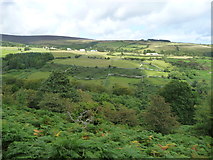 SC4285 : Laxey Glen from the Snaefell Mountain Railway [3] by Christine Johnstone