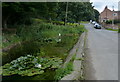 South Ferriby village pond