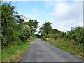 Lane to Hardmead and Newton Blossomville