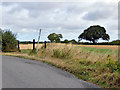 Start of bridleway to Turvey