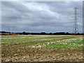 Stubble field with power line