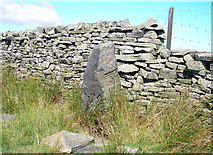 SE1253 : Boundary Stone on Round Hill by John Illingworth