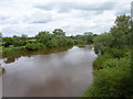 SO8427 : The River Severn from Haw Bridge by Jeff Gogarty