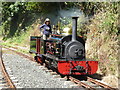 Launceston Steam Railway - Lilian