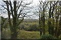 SW7943 : View from the Cornish Main Line near Newbridge by N Chadwick