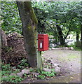 Elizabethan postbox, Bridge of Forss