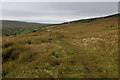 Pennine Way below Black Moor