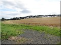 Arable field at Littlehoughton