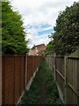 Path between the houses at Auckley