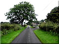 Willmount Road, Barravey