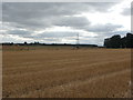 Farmland near Sprotbrough