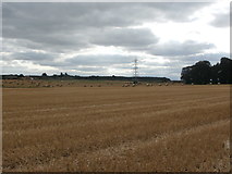 SE5202 : Farmland near Sprotbrough by Jonathan Clitheroe