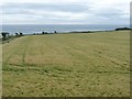 SC4789 : Windswept barley field, east of Ballaskeig Halt by Christine Johnstone