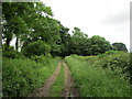 Byway to Brackley Hatch