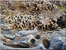 NH9487 : Holes in the rocks, Tarbat Ness by Julian Paren
