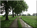 Roadway to Wappenham Lodge Farm