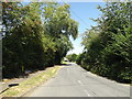 TM1292 : Church Lane, Bunwell by Geographer