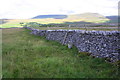 SD7873 : Dry stone wall on moorland below Ingleborough by Roger Templeman