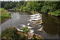 Weir on the River Torridge