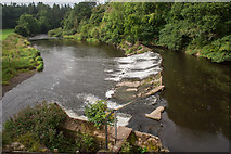 SS4720 : Weir on the River Torridge by Guy Wareham