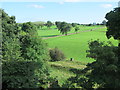 Farmland east of White Kirkley