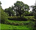 Trackbed of the former Taunton to Barnstaple Railway