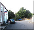 Trees at the southwest end of Lambert Street, Newport