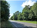 TF6207 : Trees on the edge of Wallington Park, Norfolk by Richard Humphrey