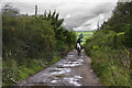 The footpath to Cut Farm