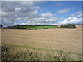 NT8739 : Stubble field off the A697 by JThomas