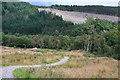 Great Glen Way nearing Invermoriston