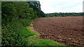 Farmland at Lordsley End