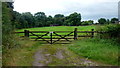 Gate and paddock at Winnington