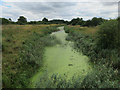 Cut-off Channel near Lakenheath