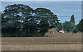 Farmland near the River Trent