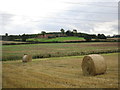 View towards Brockilow Farm