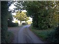 Flint Lane, near Lenham