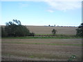 NT9145 : Stubble fields near East Newbiggin by JThomas