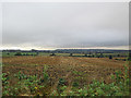 A view from Chesterton Windmill