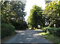 TM1485 : Rectory Road, Gissing by Geographer