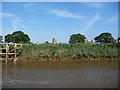 The west bank of the River Ouse, near Shuffleton windmill