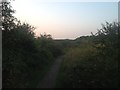 Fermyn Woods Country Park