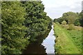 Montgomery Canal - view north from Bridge No75